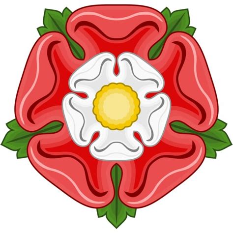 rosa dei tudor tattoo|tudor rose of york.